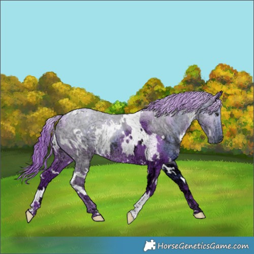 Horse Color:Watercolor White Spotted Chocolate Black Chinchilla Ice