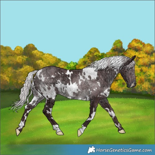 Horse Color:White Spotted Chocolate Silver Black Chinchilla Ice