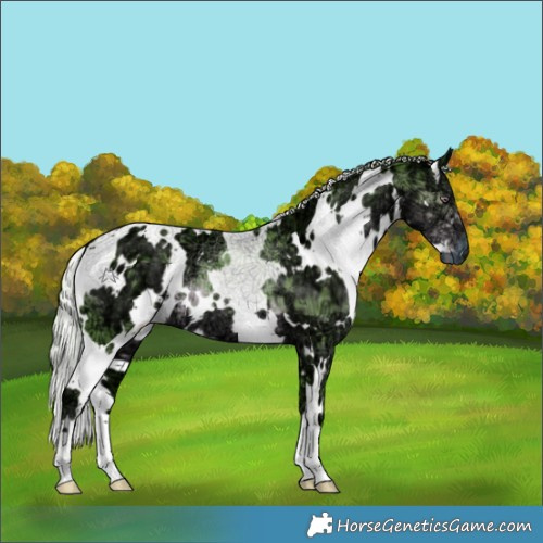 Horse Color:Watercolor White Spotted Chocolate Silver Smoky Black Chinchilla Ice 