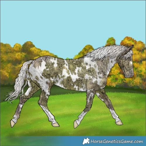 Horse Color:Watercolor White Spotted Chocolate Silver Smoky Creme Chinchilla Ice
