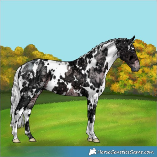 Horse Color:Watercolor White Spotted Chocolate Silver Smoky Creme Chinchilla Ice 