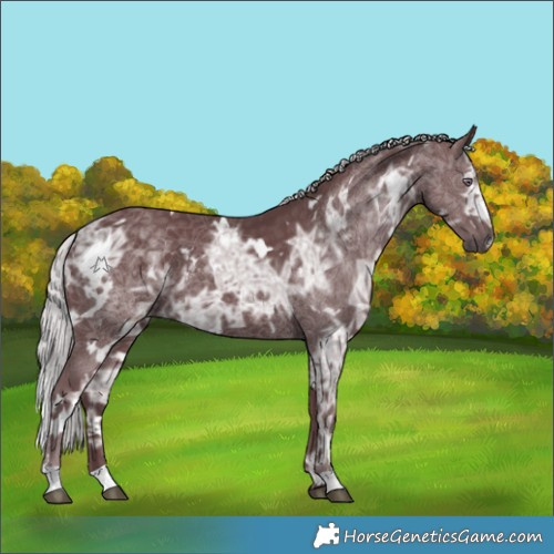 Horse Color:White Spotted Chocolate Silver Smoky Black Chinchilla Ice
