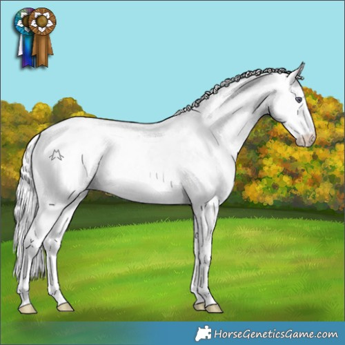 Horse Color:White Spotted Silver Smoky Creme Chinchilla Ice