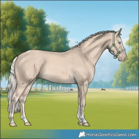 Horse Color:Cremello Tobiano