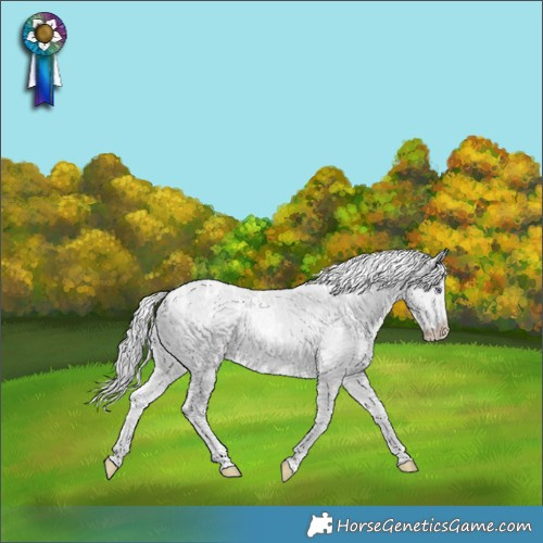Horse Color:White Spotted Smoky Creme Chinchilla 