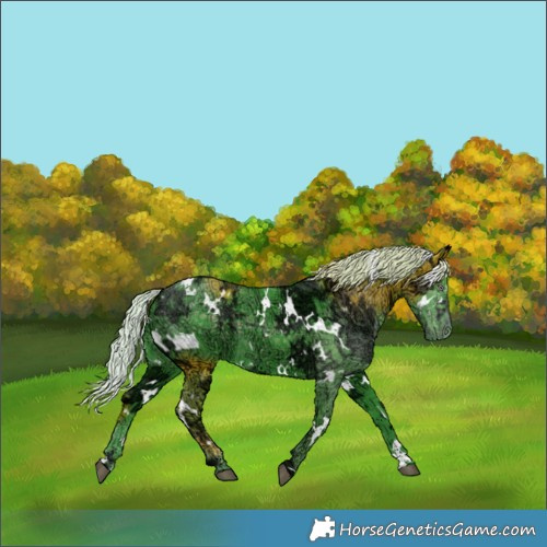 Horse Color:Watercolor White Spotted Silver Smoky Black Chinchilla Ice 