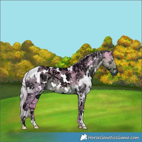 Horse Color:Watercolor White Spotted Chocolate Silver Smoky Black Chinchilla Ice