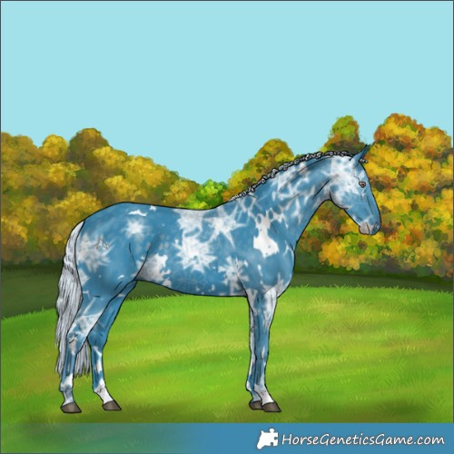 Horse Color:Watercolor White Spotted Silver Black Chinchilla Ice 