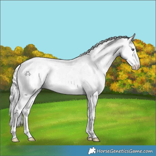Horse Color:White Spotted Chocolate Silver Smoky Creme Chinchilla