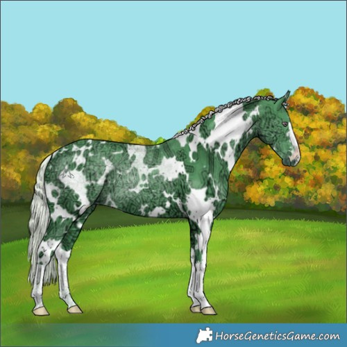 Horse Color:Watercolor White Spotted Chocolate Silver Smoky Black Chinchilla Ice 