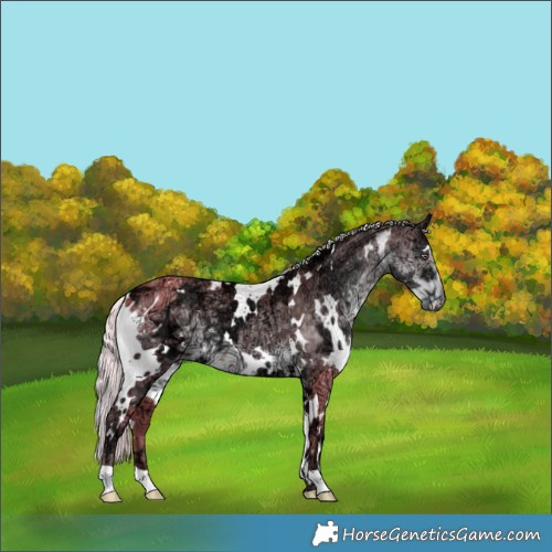 Horse Color:White Spotted Chocolate Silver Smoky Black Chinchilla Ice 