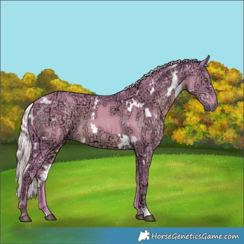 Horse Color:Watercolor White Spotted Chocolate Silver Black Chinchilla Ice 