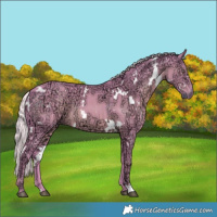 Horse Color:Watercolor White Spotted Chocolate Silver Black Chinchilla Ice 