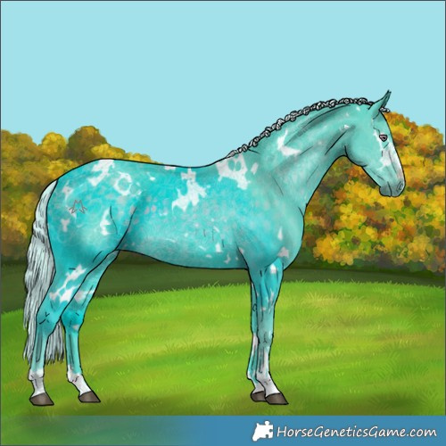 Horse Color:Watercolor White Spotted Chocolate Silver Smoky Black Chinchilla 