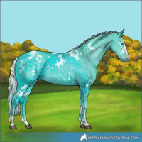 Horse Color:Watercolor White Spotted Chocolate Silver Smoky Black Chinchilla