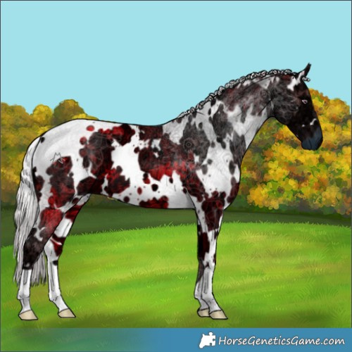 Horse Color:White Spotted Chocolate Silver Smoky Black Chinchilla Ice 