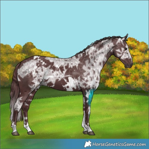 Horse Color:White Spotted Chocolate Black Chinchilla Ice 
