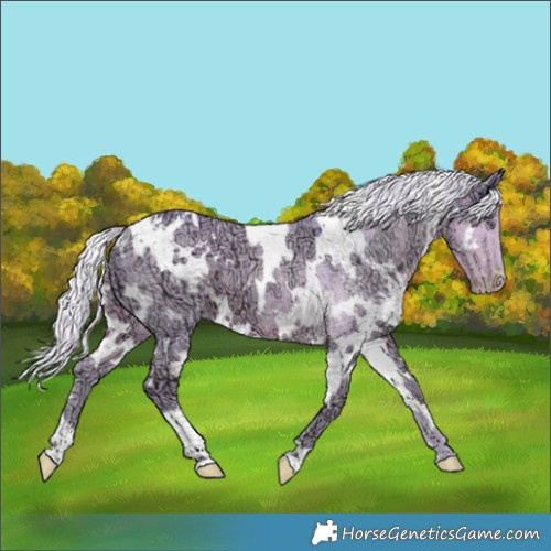Horse Color:Watercolor White Spotted Chocolate Silver Smoky Creme Chinchilla Ice