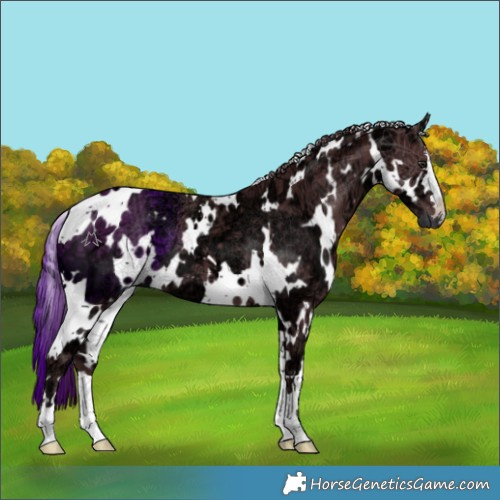 Horse Color:White Spotted Chocolate Smoky Black Chinchilla Ice 