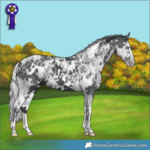 Horse Color:White Spotted Silver Black Chinchilla Ice 