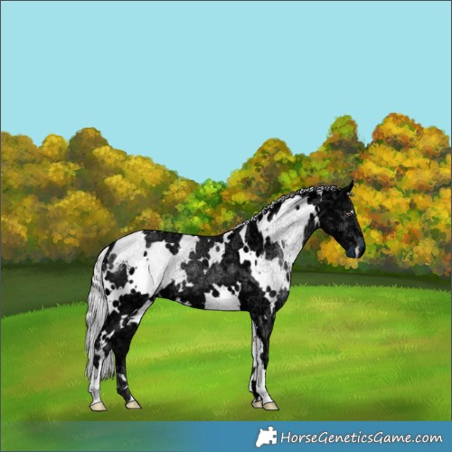 Horse Color:White Spotted Silver Black Chinchilla Ice 