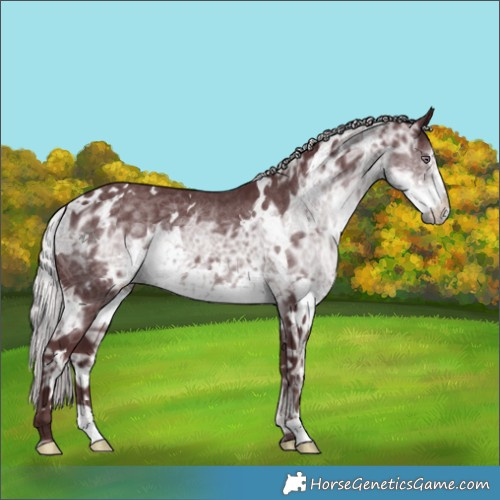 Horse Color:White Spotted Chocolate Silver Smoky Black Chinchilla Ice 