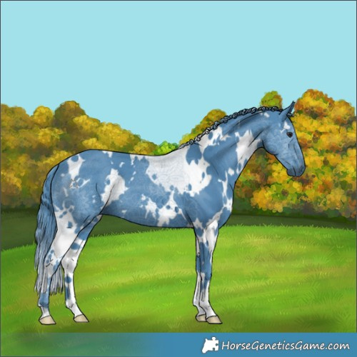 Horse Color:Watercolor White Spotted Chocolate Black Chinchilla Ice 