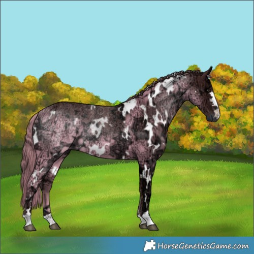 Horse Color:White Spotted Chocolate Black Chinchilla Ice 