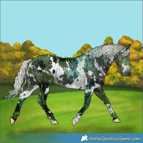 Horse Color:Watercolor White Spotted Chocolate Silver Black Chinchilla Ice