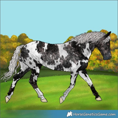 Horse Color:White Spotted Chocolate Silver Black Chinchilla Ice 