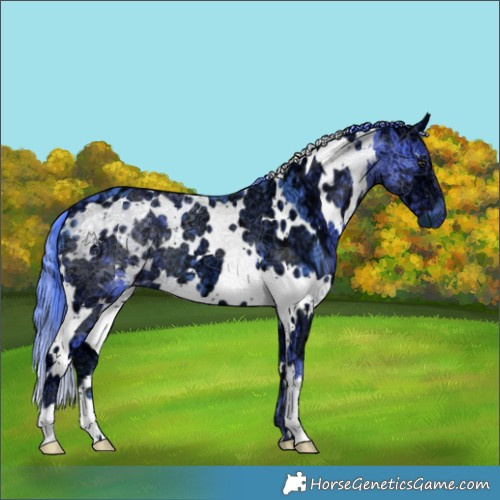 Horse Color:Watercolor White Spotted Chocolate Black Chinchilla Ice 