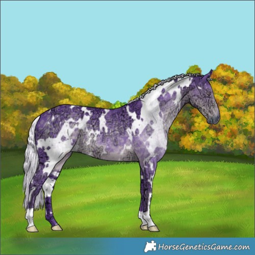 Horse Color:Watercolor White Spotted Chocolate Silver Smoky Black Chinchilla Ice 
