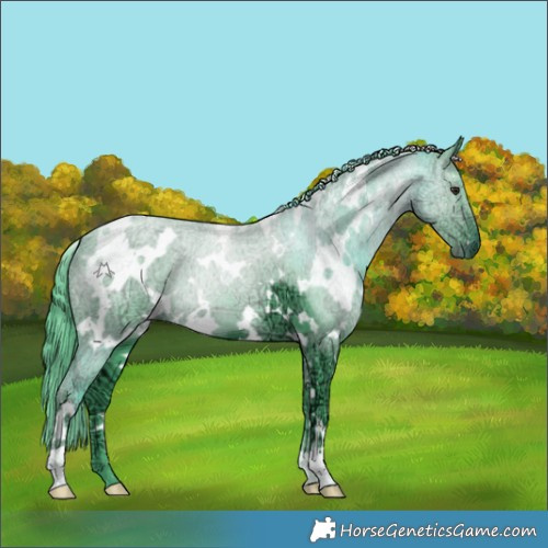 Horse Color:Watercolor White Spotted Chocolate Black Chinchilla Ice 