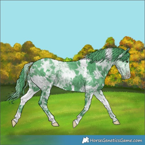 Horse Color:Watercolor White Spotted Chocolate Black Chinchilla Ice 