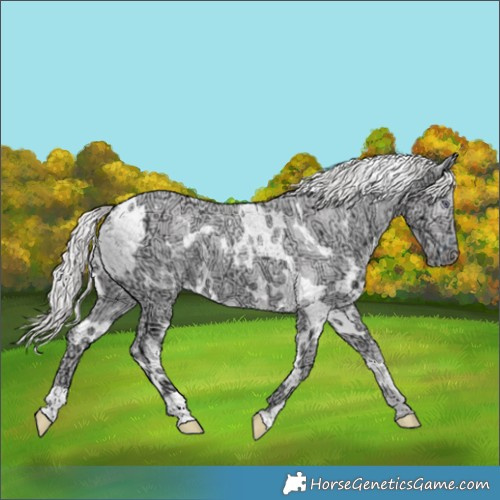 Horse Color:White Spotted Chocolate Smoky Creme Chinchilla Ice 