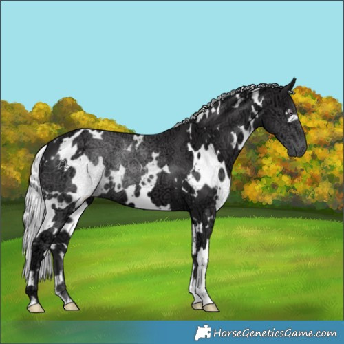 Horse Color:White Spotted Silver Smoky Black Chinchilla Ice