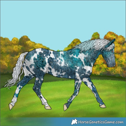 Horse Color:Watercolor White Spotted Silver Smoky Black Chinchilla Ice