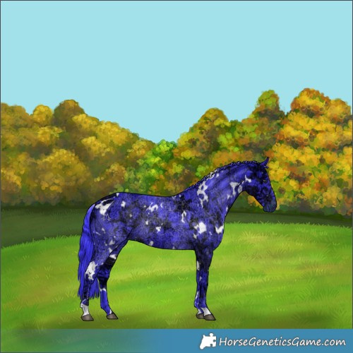 Horse Color:Watercolor White Spotted Smoky Black Chinchilla Ice 