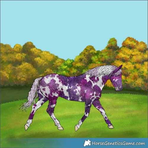 Horse Color:Watercolor White Spotted Chocolate Silver Smoky Black Chinchilla Ice