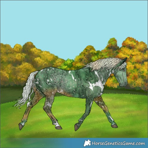 Horse Color:Watercolor White Spotted Chocolate Silver Smoky Black Chinchilla Ice