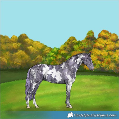 Horse Color:Watercolor White Spotted Chocolate Smoky Creme Chinchilla Ice 