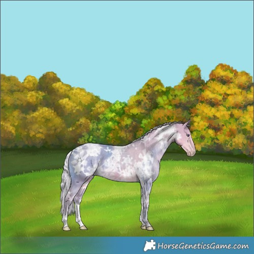 Horse Color:Watercolor White Spotted Silver Smoky Creme Chinchilla Ice 