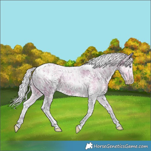 Horse Color:Watercolor White Spotted Chocolate Silver Smoky Creme Chinchilla Ice 