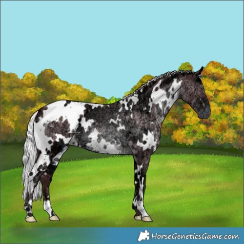 Horse Color:White Spotted Chocolate Silver Black Chinchilla Ice