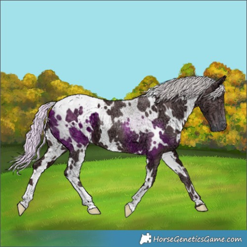Horse Color:White Spotted Chocolate Silver Black Chinchilla Ice 