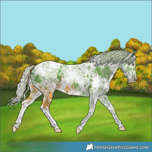 Horse Color:Watercolor White Spotted Chocolate Silver Smoky Black Chinchilla Ice 