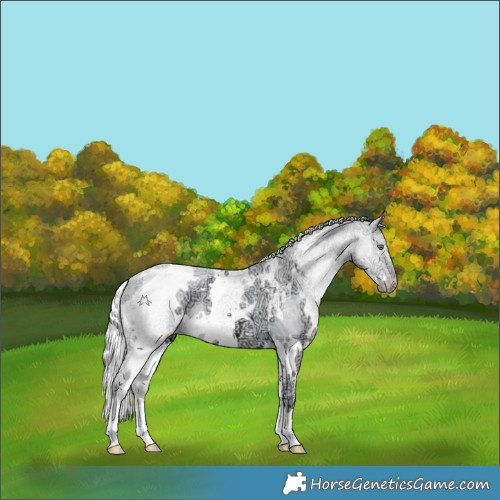Horse Color:White Spotted Chocolate Silver Smoky Creme Chinchilla Ice 
