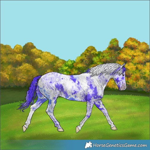 Horse Color:Watercolor White Spotted Chocolate Smoky Black Chinchilla Ice 