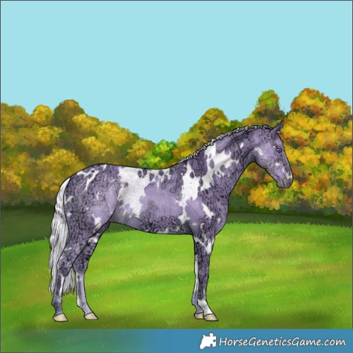 Horse Color:Watercolor White Spotted Chocolate Silver Smoky Creme Chinchilla Ice 
