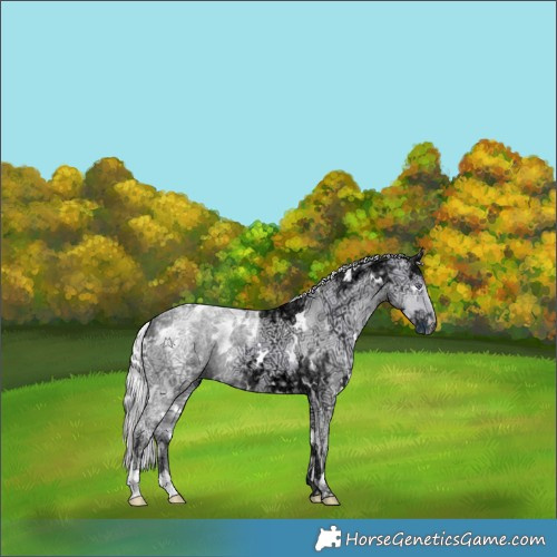 Horse Color:White Spotted Chocolate Smoky Creme Chinchilla Ice 